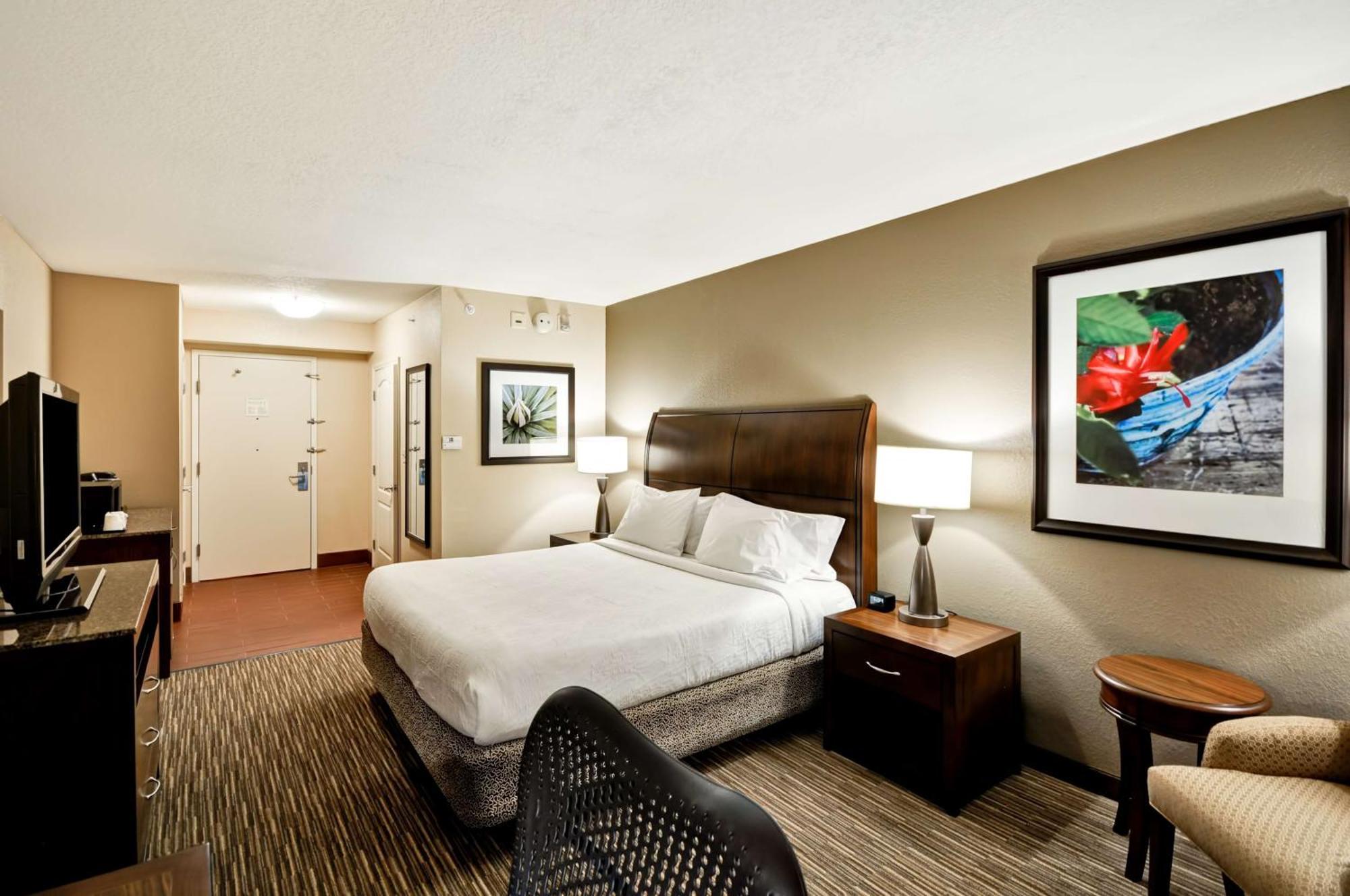 Hilton Garden Inn Tampa North Temple Terrace Bagian luar foto